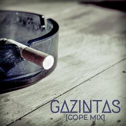 Gazintas