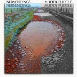 Muddy Puddle