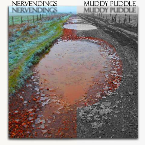 Muddy Puddle