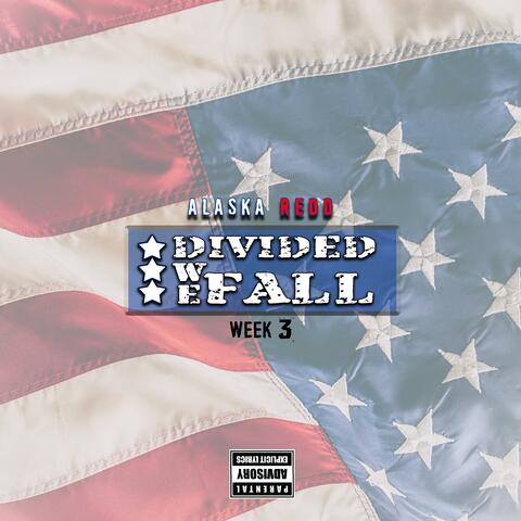 Divided We Fall