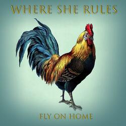 Fly on Home