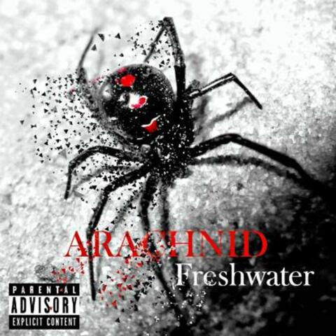 Arachnid