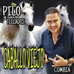 Caballo Viejo