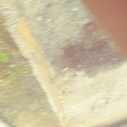 I Found My Match (feat. FOE Capo & Mr. Slue)