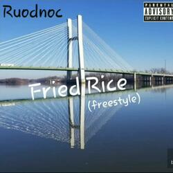 Fried Rice Freestyle