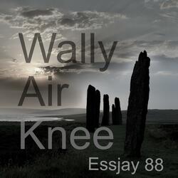 Wally Air Knee