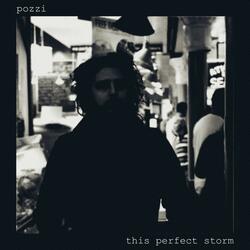 This Perfect Storm