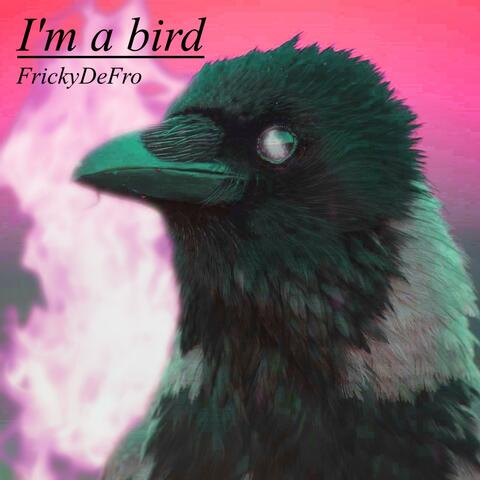 I'm a Bird