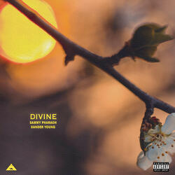 Divine (feat. Xander Young)