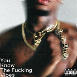 You Know the Fucking Vibes