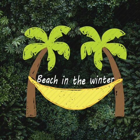 Beach in the Winter