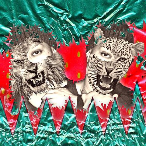 Lions & Cheetahs