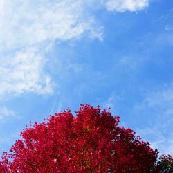 looking around at the sky.