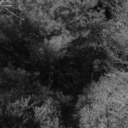 Doing Just What I Need To