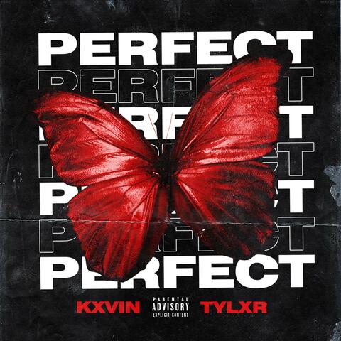 Perfect