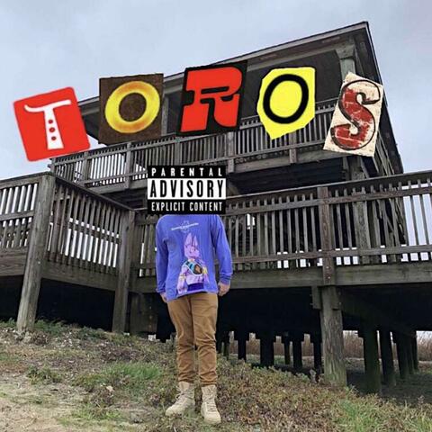 Toros