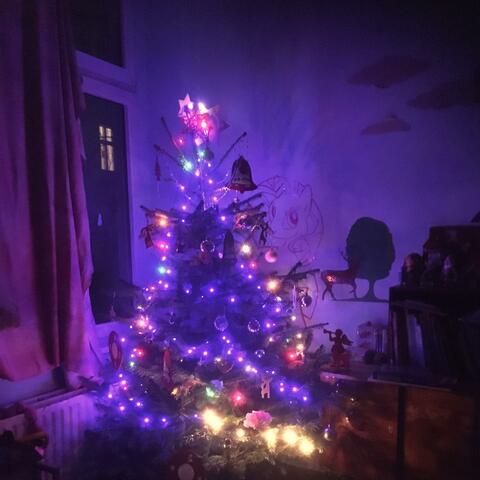 Nina Does Christmas