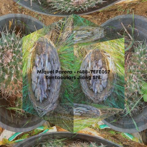 Tefe057 | Tentaculars Jiang Shi