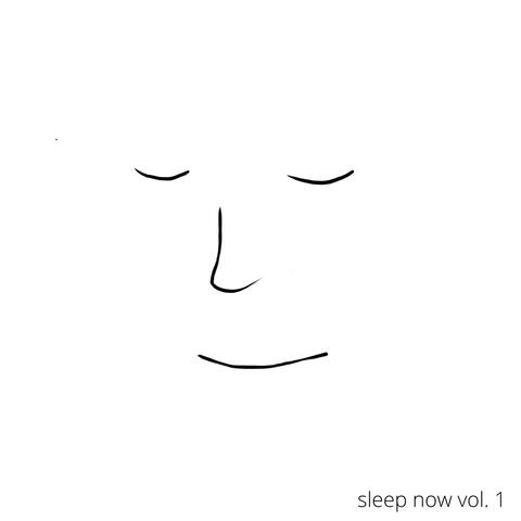Sleep Now, Vol. 1