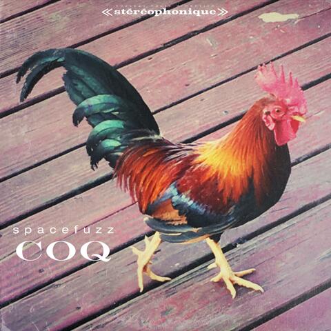 Coq