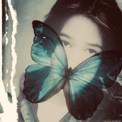 Morpho