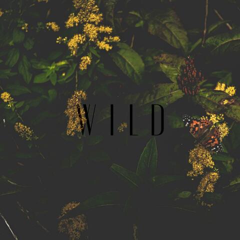 W I L D