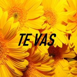 Te Vas