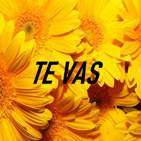 Te Vas