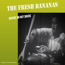Rock in My Shoe