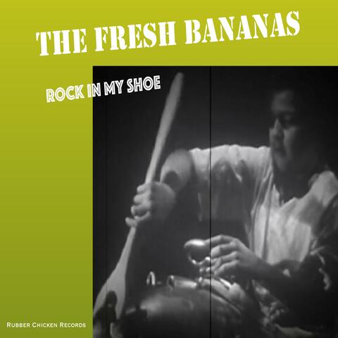 Rock in My Shoe