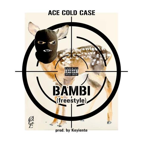 Ace Cold Case