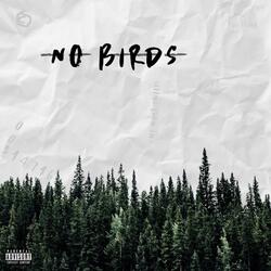 No Birds