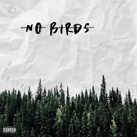 No Birds