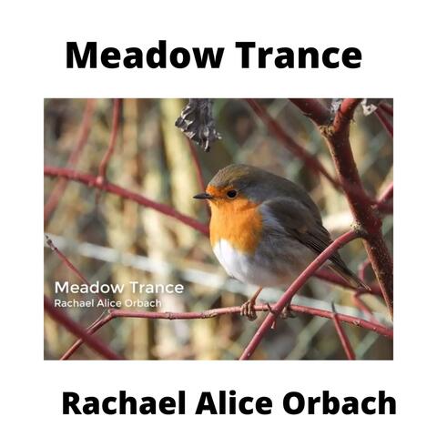 Meadow Trance