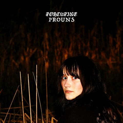 Porcupine / Prouns