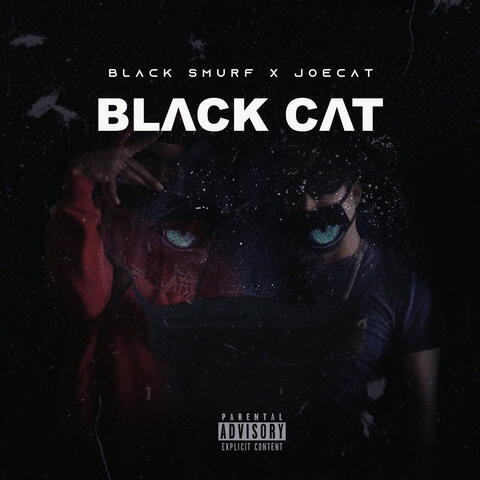 Black Cat