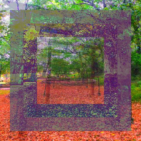 The Garden