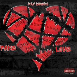 Fake Love