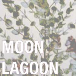Moon Lagoon