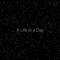 A Life in a Day