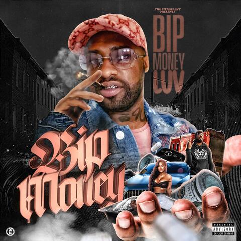 Bipmoney
