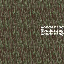 Wondering