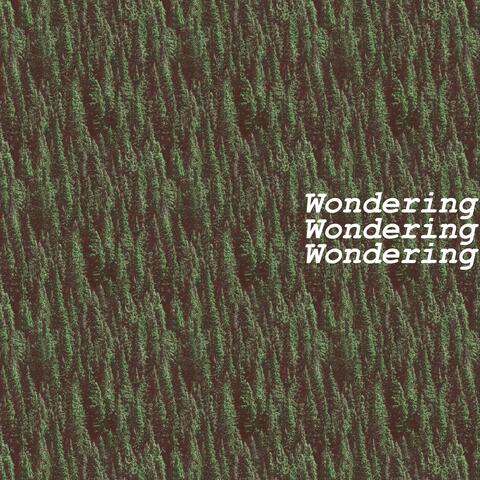 Wondering