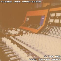 Please Just Understand