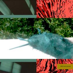 Collapse and Appear