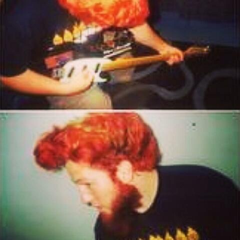 Ginger