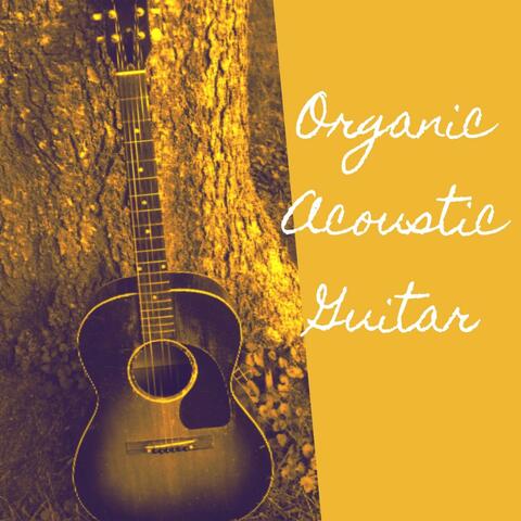 Organic Acoustic Guitar