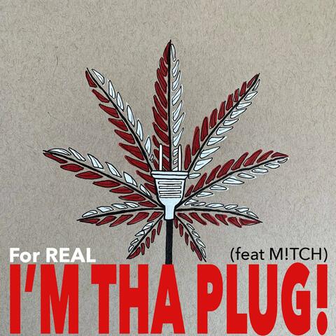 I'M THA PLUG!