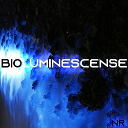 Bioluminescense