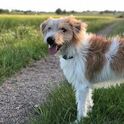 Virus (Don't Come a Knocking)